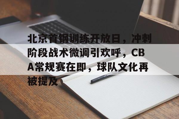 北京首钢训练开放日，冲刺阶段战术微调引欢呼，CBA常规赛在即，球队文化再被提及的简单介绍